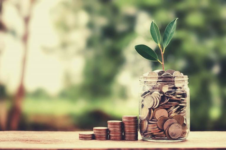 Aumenta el valor de tu empresa agrícola