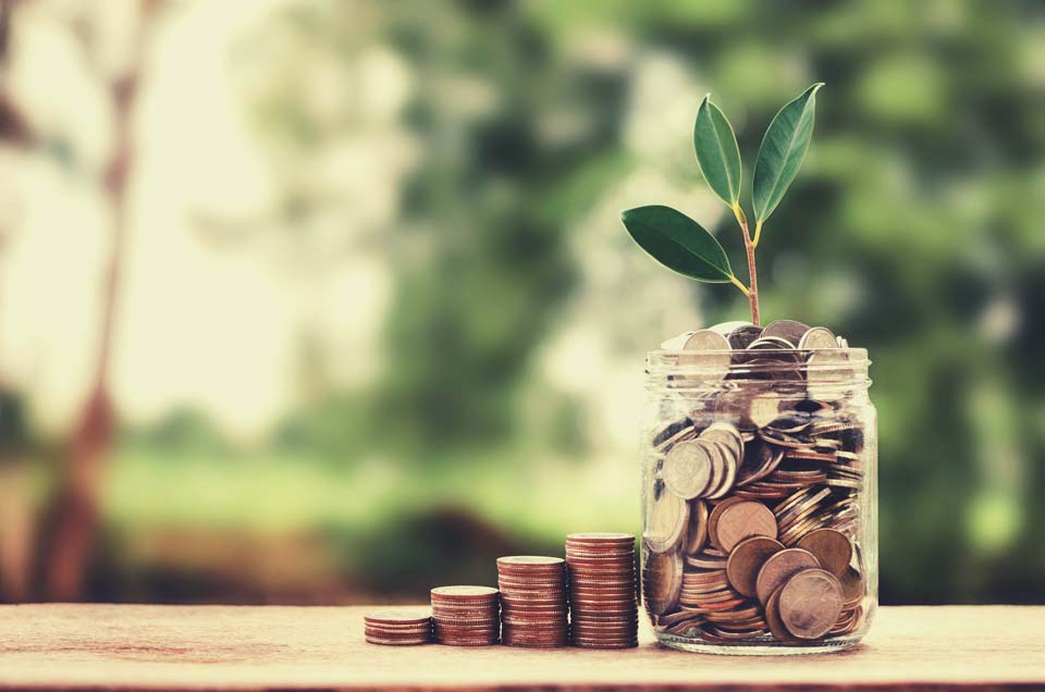 Aumenta el valor de tu empresa agrícola