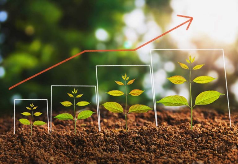Aumentar la rentabilidad de tu proyecto agrícola