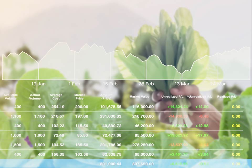 Consejos imprescindibles para un control eficiente de costos en tu negocio agrícola