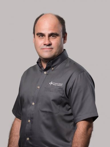 SR. MICHAEL J. SERRALLÉS - Vicepresidente
