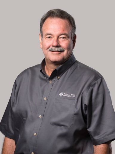 SR. PABLO RODRÍGUEZ - Director