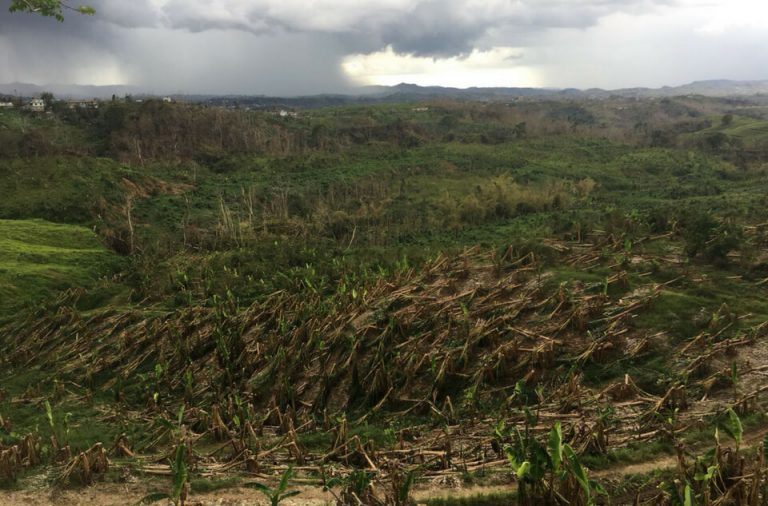 consejos agricolas