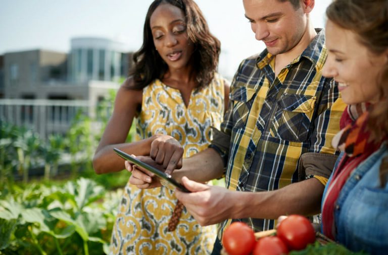 emprendimiento agrícola