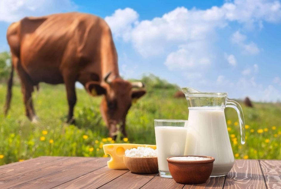 La transformación del vaso de leche y la industria que la