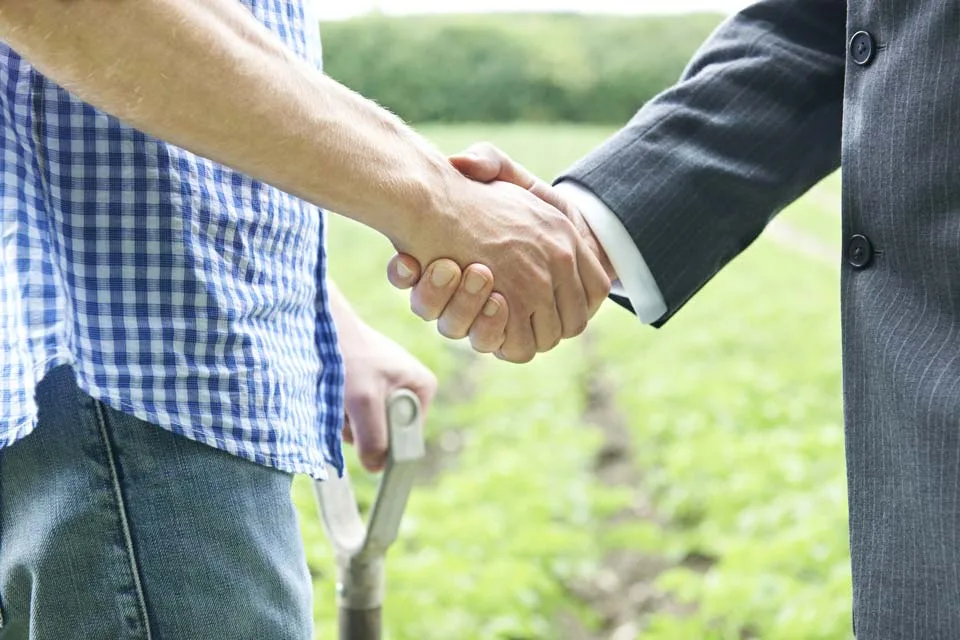 Networking: pieza clave para el éxito agroempresarial