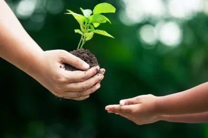 3 consejos para comenzar un plan de sucesión para empresas agrícolas