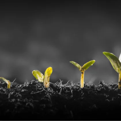 3 barreras comunes del agroempresario boricua y cómo superarlas