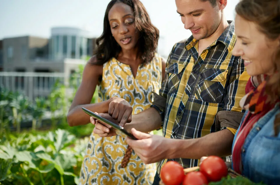 emprendimiento agrícola