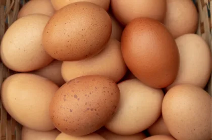 Innovación y mejores prácticas agrícolas en la industria de los huevos