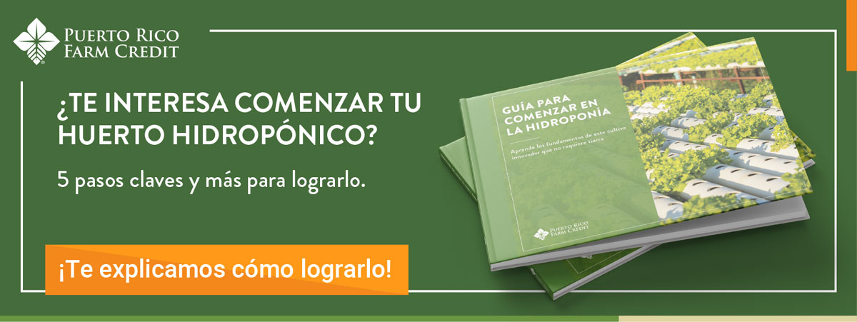 hidroponicos