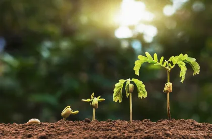 10 consejos para comenzar y tener éxito en la industria agrícola