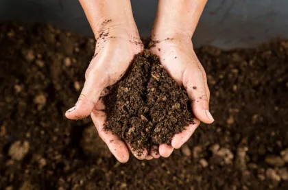 Tres recomendaciones precisas para mejorar la calidad del suelo agrícola