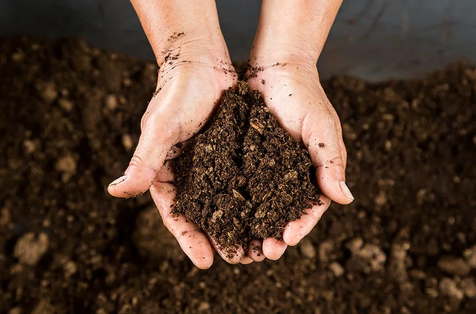 mejoras al suelo agrícola