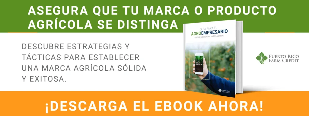 Ebook_Marca_Agrícola_banner