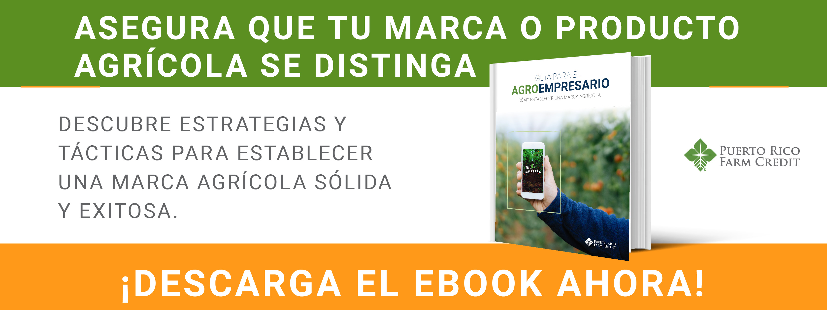 Ebook_Marca_Agrícola_banner