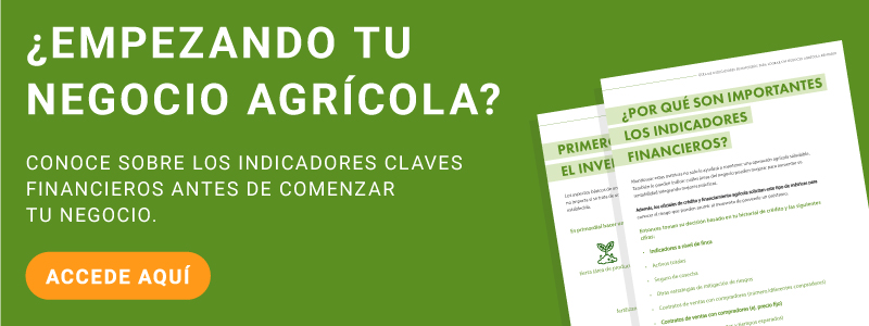Ebook_indicadores_financieros