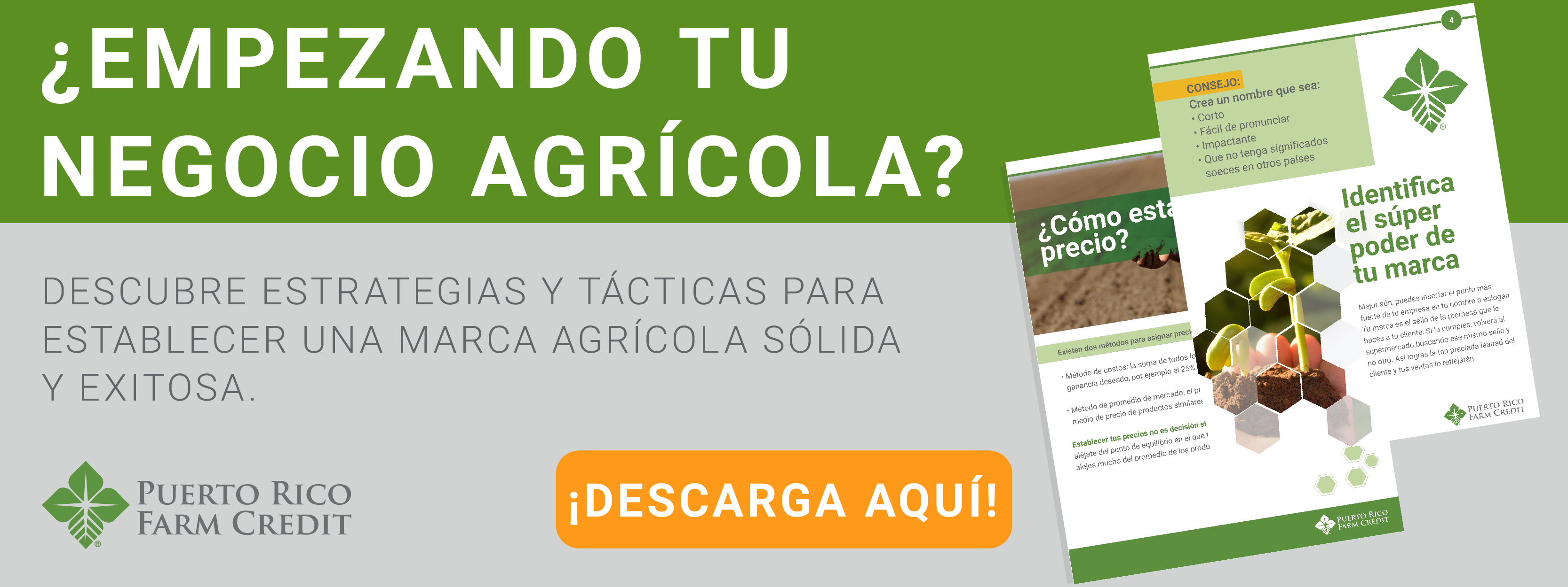 Marca_agricola_ebook