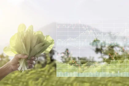 Cómo establecer correctamente los precios de tus productos agrícolas