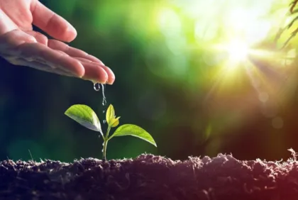 Cuatro retos que vencer para lograr una agricultura sostenible global