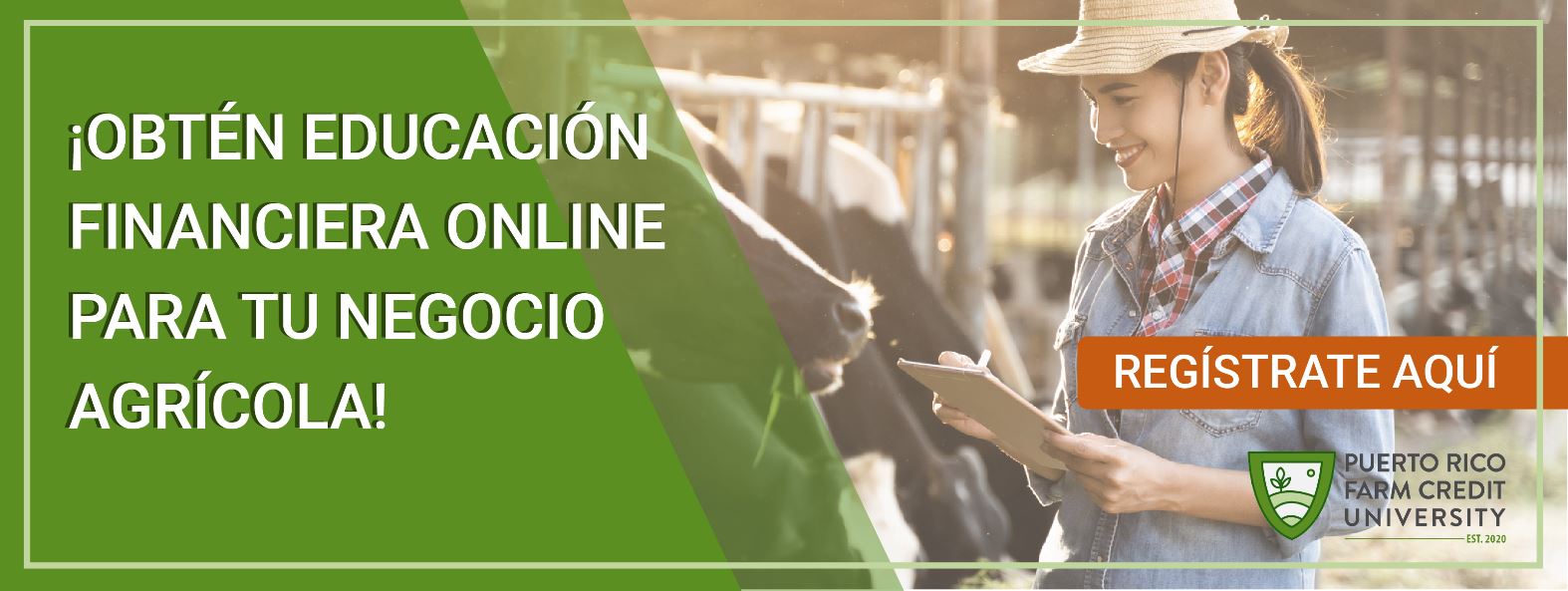 Educación financiera online