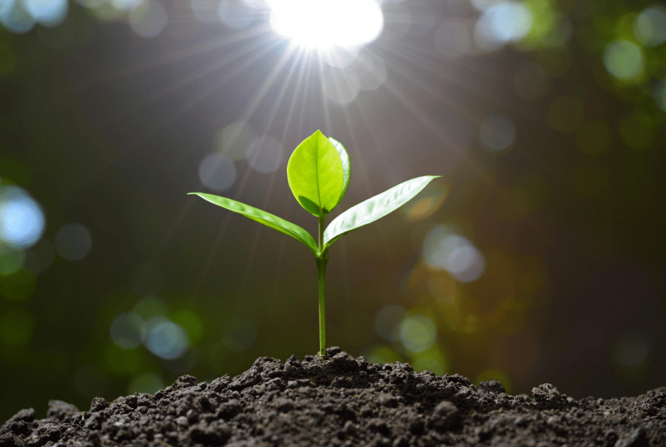 reinventar agronegocio