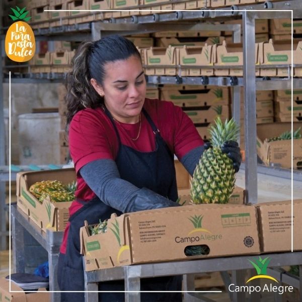 industria de frutas