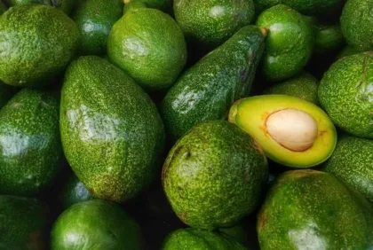 Agroempresas Atabey busca ampliar y refrescar la dieta boricua