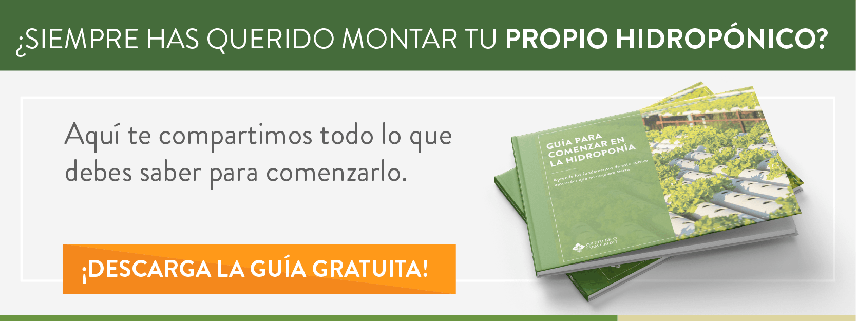 Hidroponía