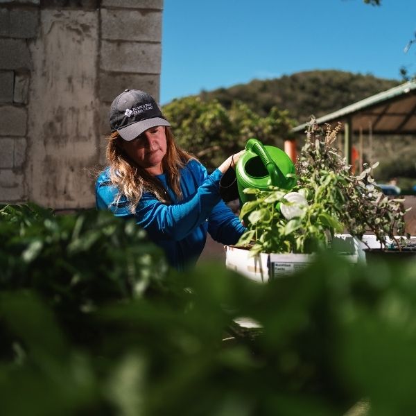 Los Sueños Farm