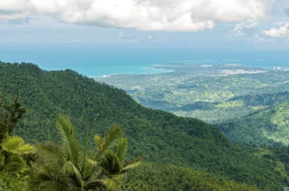 5 razones para mudarte al campo de Puerto Rico
