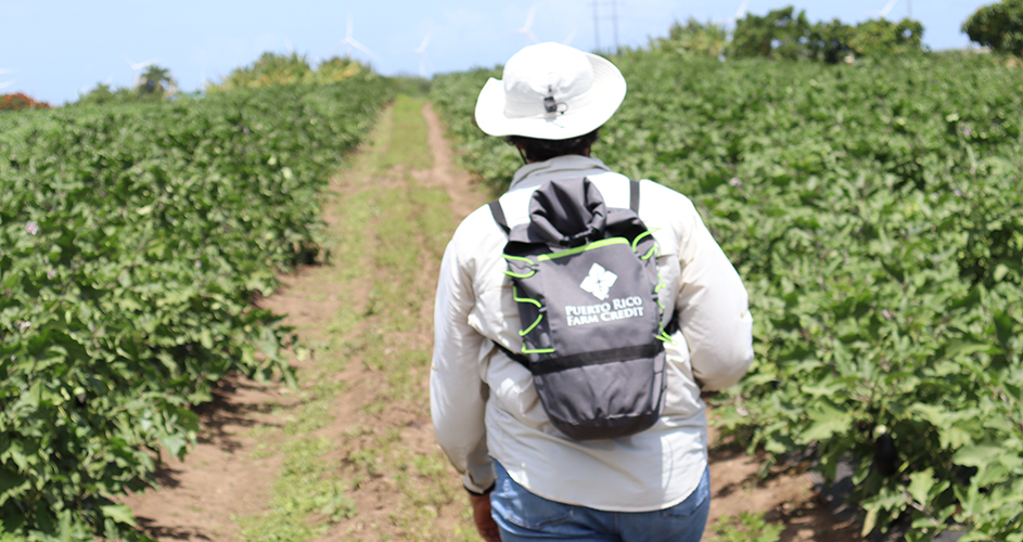 lograr aprobación financiamiento agronegocio