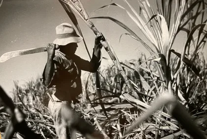 Cien años impulsando la agricultura boricua