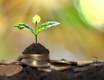 Guía de indicadores financieros para lograr un negocio agrícola rentable