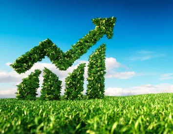 Guía para desarrollar una propuesta financiera agrícola