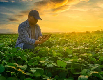 Guía para redactar tu plan de negocio agrícola