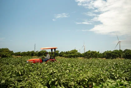 Incentivos y beneficios contributivos para tu agronegocio en Puerto Rico (2026)