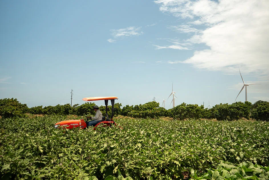 incentivos y beneficios agroempresa