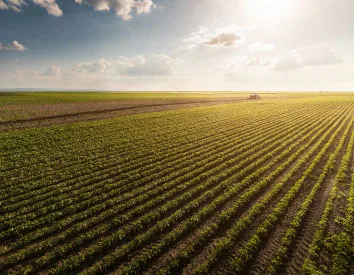 Plan de sucesión agrícola