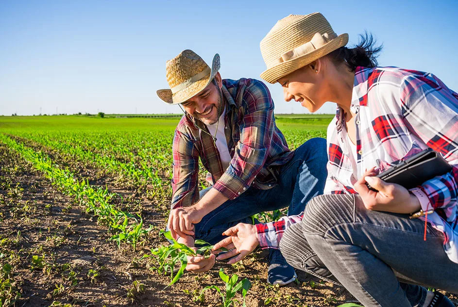 Opciones financieras para hacer realidad tu agronegocio
