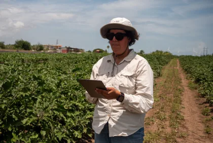 Protege el futuro de tu negocio con un seguro agrícola