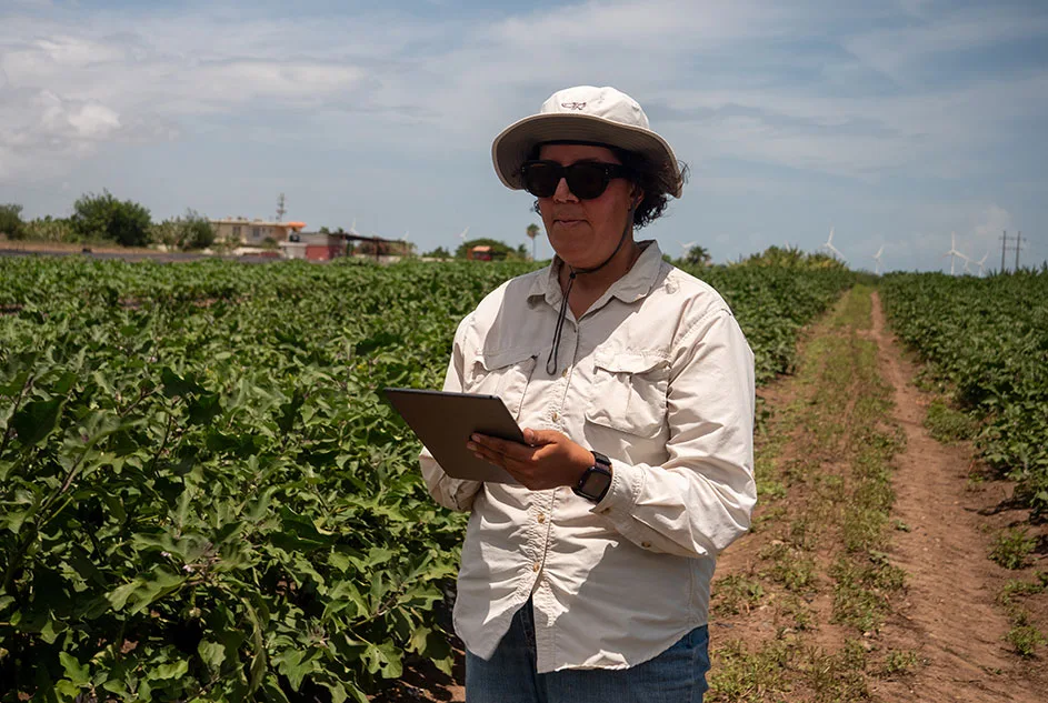 Protege el futuro de tu negocio con un seguro agrícola