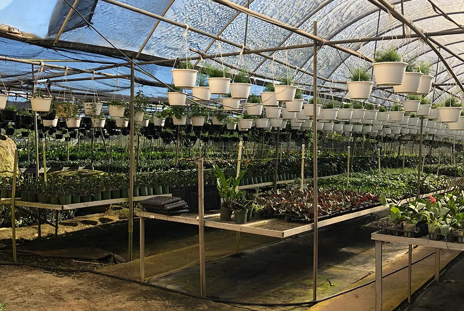 Financiamiento para el éxito agrícola