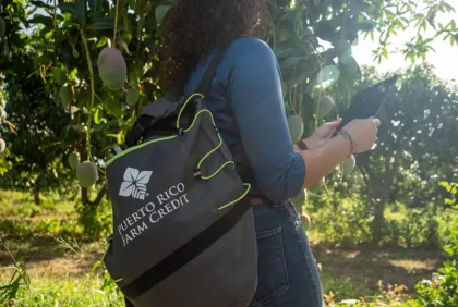 Agricultura regenerativa en Puerto Rico: Prácticas sostenibles para un futuro saludable
