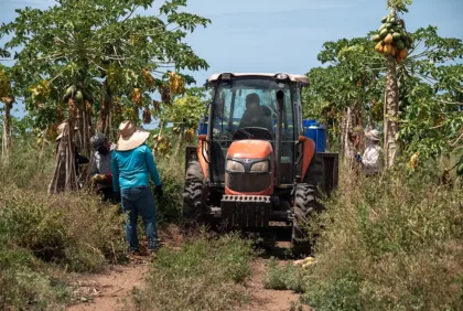 Agroturismo, experiencias como oportunidad para que tu agronegocio genere ingresos extra
