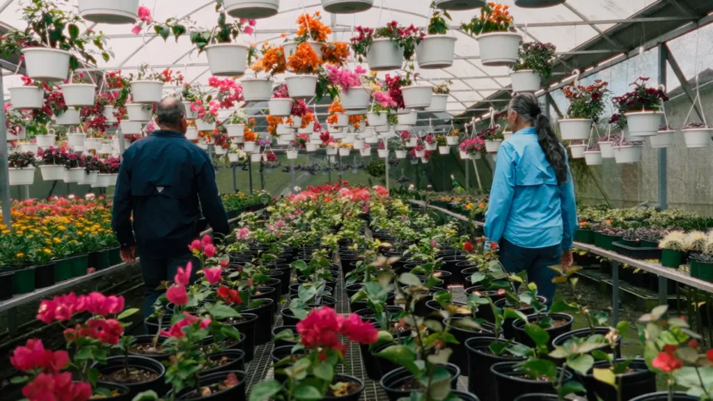 farmer strong Jardín Palmas y Plantas del Centro: el fruto de un sueño familiar