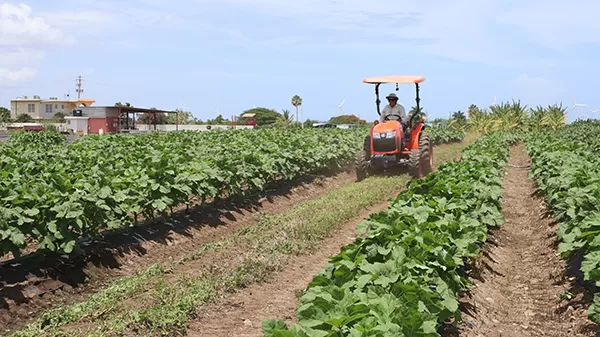 préstamos agrícolas prfc
