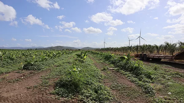 préstamos agrícolas prfc