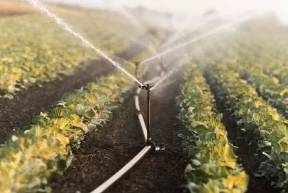Prácticas de agricultura sostenible: cómo hacer uso eficiente del agua