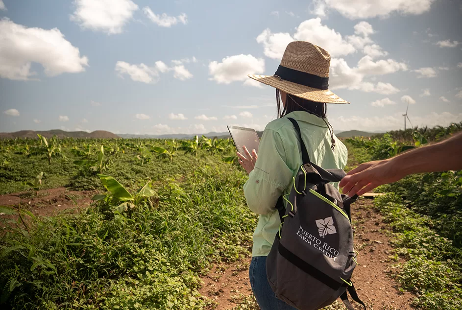 Cómo apoya Puerto Rico Farm Credit a los jóvenes agricultores